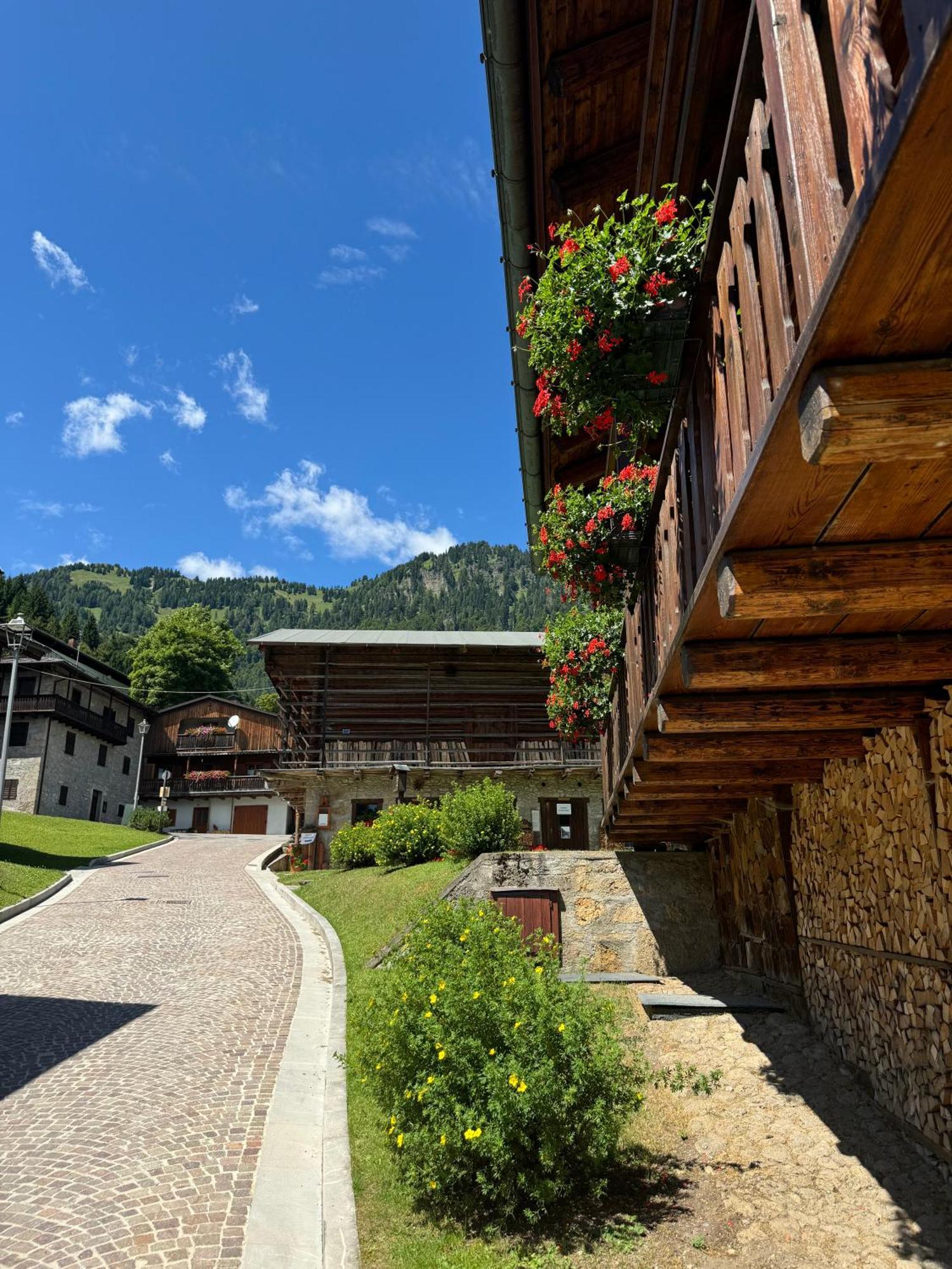 Neider Hotel - Alpine Retreat Sauris Dış mekan fotoğraf