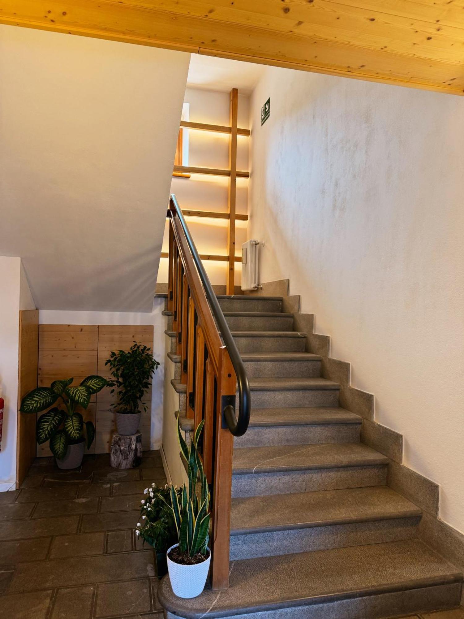 Neider Hotel - Alpine Retreat Sauris Dış mekan fotoğraf