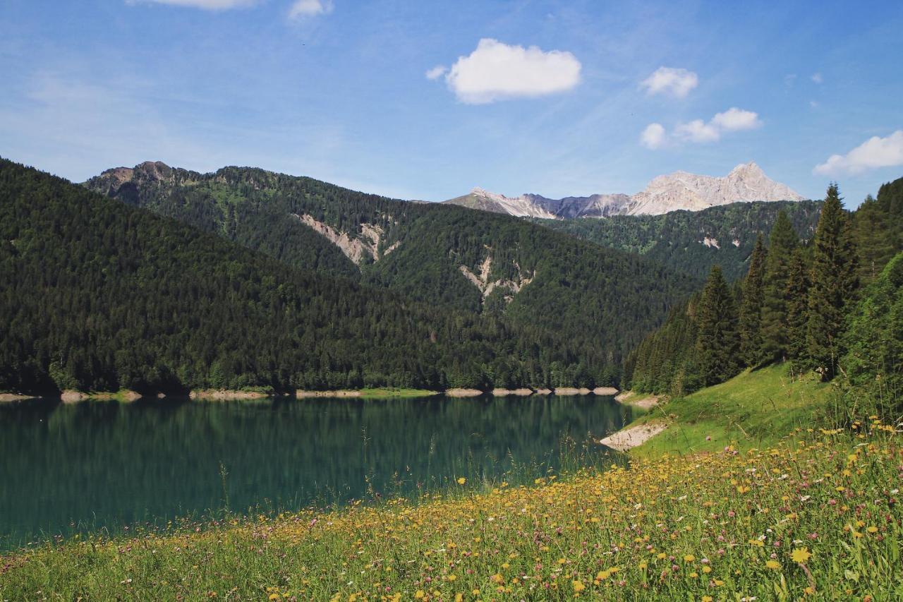 Neider Hotel - Alpine Retreat Sauris Dış mekan fotoğraf